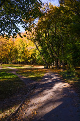 City park in the sunny day in the autumn season