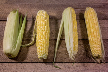 Fresh raw corn cobs on rude wooden table