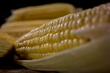 Fresh organic raw corn on wooden table