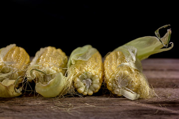 Fresh raw corn on wooden table
