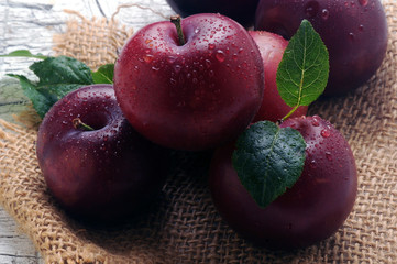 Prunus domestica Prugna Ciruelas Plum ft71061711 Susina Plums Susine 