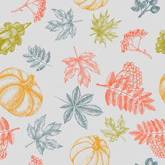 Decorative seamless pattern with Ink hand drawn autumn maple, chestnut, oak leaves, ripe pumpkin and a bunch of rowanberry.  Botanical elements texture for your design. Vector illustration.