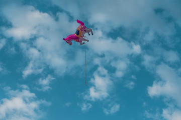 Fototapeta na wymiar Lonely unicorn balloon at sky