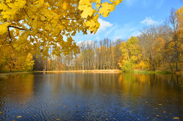 Seasons - Golden autumn on the lake, Russia, Moscow