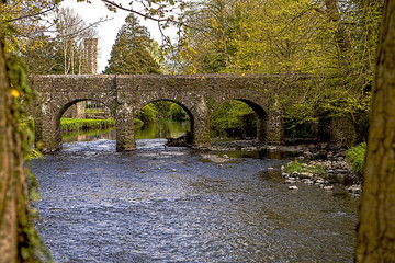 bridge in the park