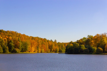 Obraz na płótnie Canvas Landscape from the autumn forest and pond
