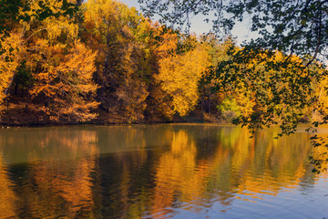 Fototapeta na wymiar Landscape from the autumn forest and pond