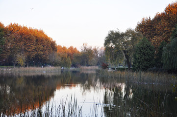 Fototapeta na wymiar Akşam Gölü
