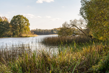 Fototapeta na wymiar blue lake with shores overgrown with grass and trees, autumn landscape with a marshy water and the shifting light of the setting sun