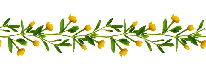 Crédence de cuisine en verre imprimé Fleurs Arrangement sans couture avec des feuilles vertes et des fleurs jaunes