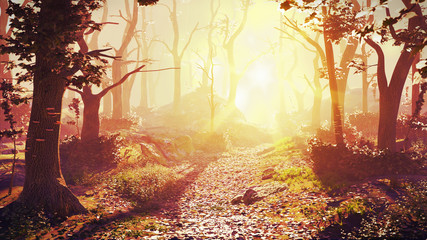 magical forest at sunrise, sunshine in beautiful fantasy landscape