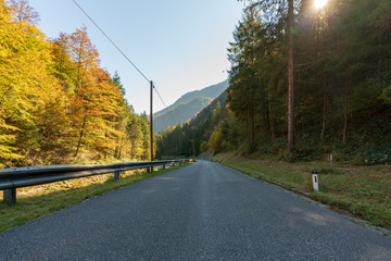 Fototapeta premium Landstraße mit Strommasten im Herbst