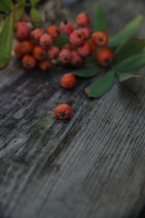 Rowan