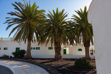 morning views of the Canarian city Taguise