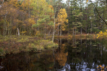 Autumn in Sweden