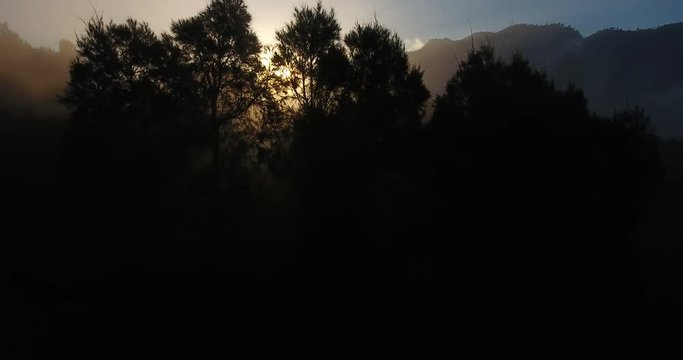 sun coming trough trees in fog at bromo area
