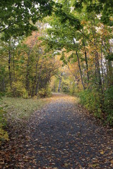 Sentier automnal 