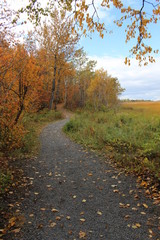 Obraz premium Paysage automnal 