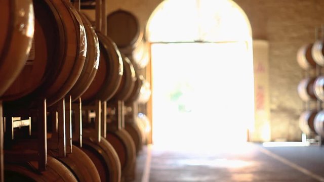 Oenologist enters winecellar, backlighting