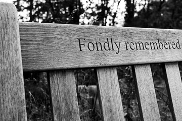 walk in Hatfield forest