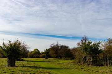 walk in Hatfield forest