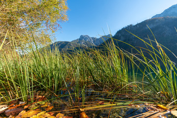 herbstlicher Langbathsee mit vielen Laubbäumen und einigen Findlingen
