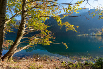 herbstlicher Langbathsee mit vielen Laubb&auml;umen und einigen Findlingen