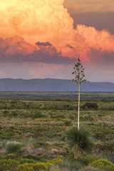 Storm settling over New Mexico