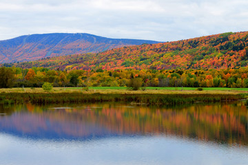 autumn landscape with lake and trees