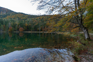 herbstlicher Langbathsee mit vielen Laubbäumen