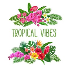 Tropical banners, exotic flower and leaves