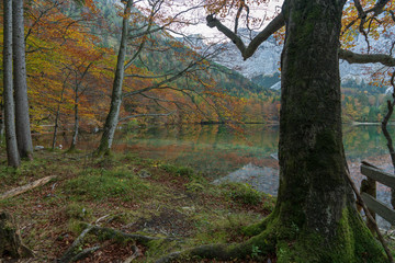 herbstlicher Langbathsee mit vielen Laubb&auml;umen