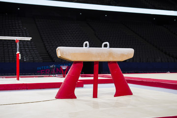 A pommel horse in a gymnastic arena 