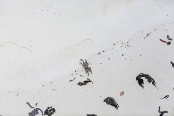 夕焼け, 海, 太陽, 空, 水, 日の出, 浜, 帆船, 地平線, 自然, オレンジ, 雲, 風景, 今夜, 夜明け, 旅行, ボート, 光, クルーズ, モルジブ, モルディブ, リラックス, カップル, 家族, ツアー, 海外, 地中海, インド洋, ハワイ, 沖縄, 海南島, リゾート, 水上, ヴィラ, 高級, ホテル, 民泊, 旅館, 老舗, 料理, 和食, 洋食, フランス, イタリ