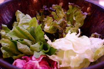 vegetable salad bar