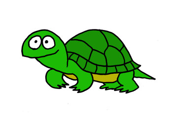 Funny illustration of a turtle
