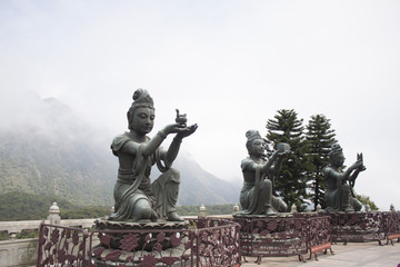 Buddha statue in Hong kong