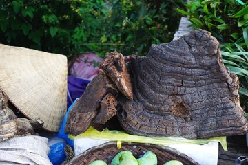 Medicinal mushroom conk for sale in a rural market in Southeast Asia