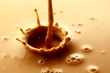 Coffee latte or Milk tea / Coffee is a brewed drink prepared from roasted coffee beans, which are the seeds of berries from the Coffee plant. 