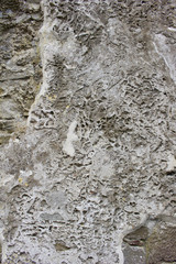 Obraz premium Medieval gray color stone wall background with aged appearance and presence of lichens and moss