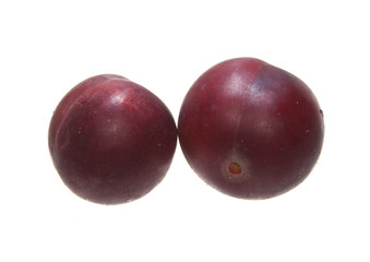 cherry plum isolated on white background