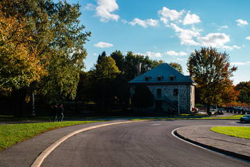 road in the park