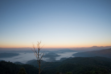 Fototapeta na wymiar Fog on the mountain in the morning.