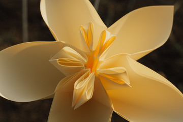 Plastic flower plumeria