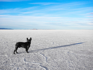 Is There Anybody Out There