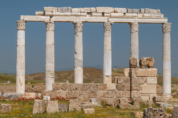 Ruins of the ancient town Laodicea on the Lycus, Turkey