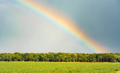 Storm Swirling Generates Rainbow as Sun Comes out over Farmland