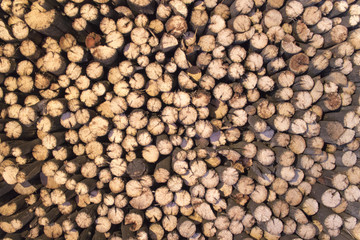 firewood background