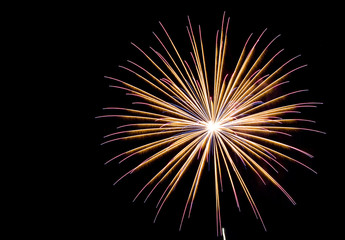 Fireworks , sparklers ,bursting against a black background