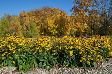 Tsaritsyno Park on a Sunny autumn day. Moscow, Russia